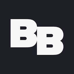 bravebisonlives.com favicon